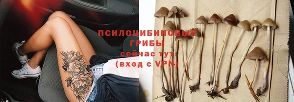 шишки Арсеньев