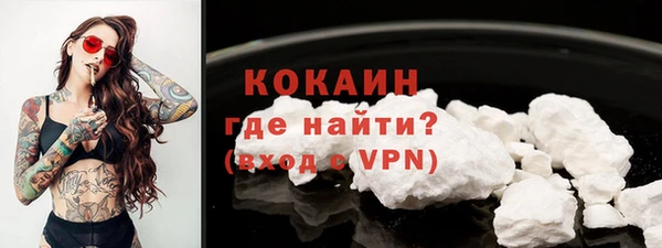 шишки Арсеньев
