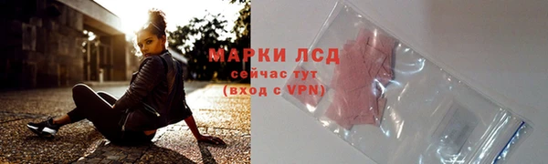 шишки Арсеньев