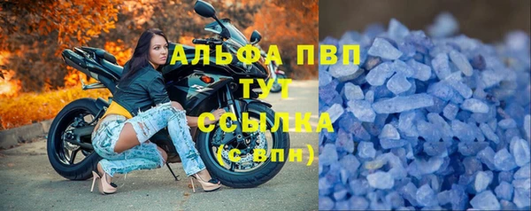 сатива Армянск