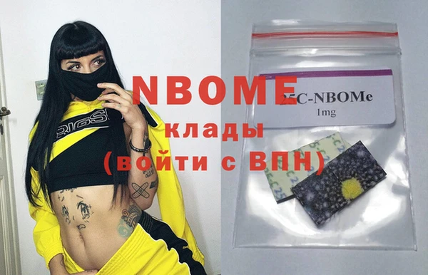 шишки Арсеньев