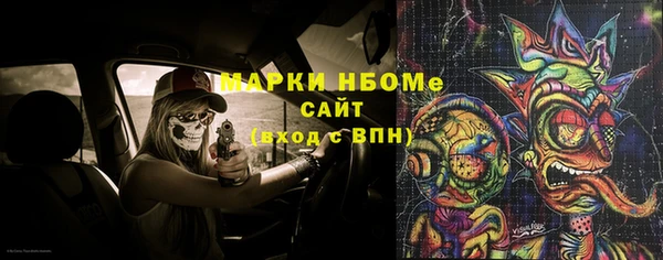 шишки Арсеньев