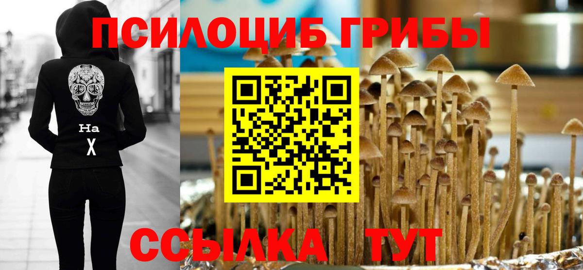 Галлюциногенные грибы мухоморы  Вход с VPN  Печора 